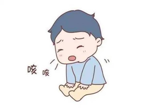 胖多囊的减肥方法分享，这三种饮食模式助你快速减肥